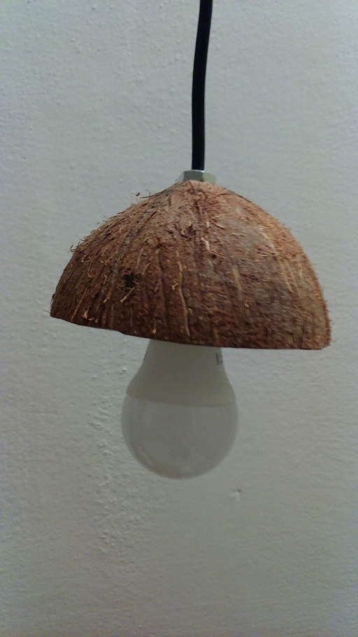 Particular of coconut light