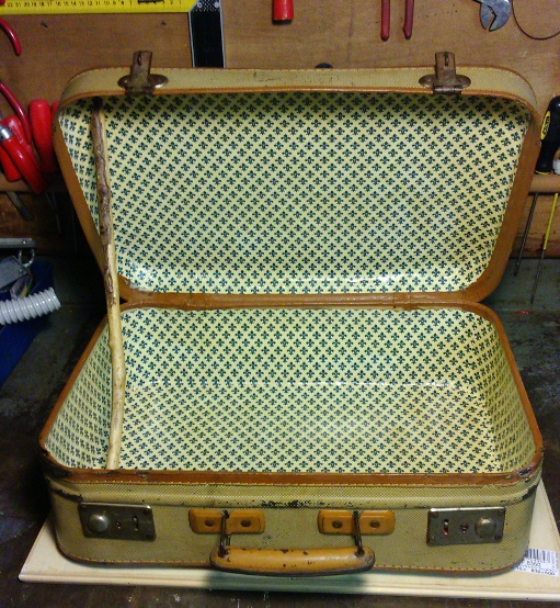 Suitcase8